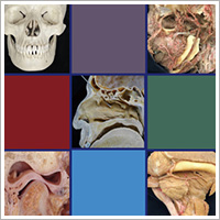 ピックアップ（１）